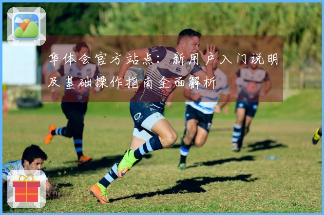 华体会官方站点：新用户入门说明及基础操作指南全面解析
